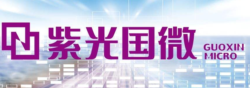 紫光国微在中国的地位最具潜力的安全芯片领导者